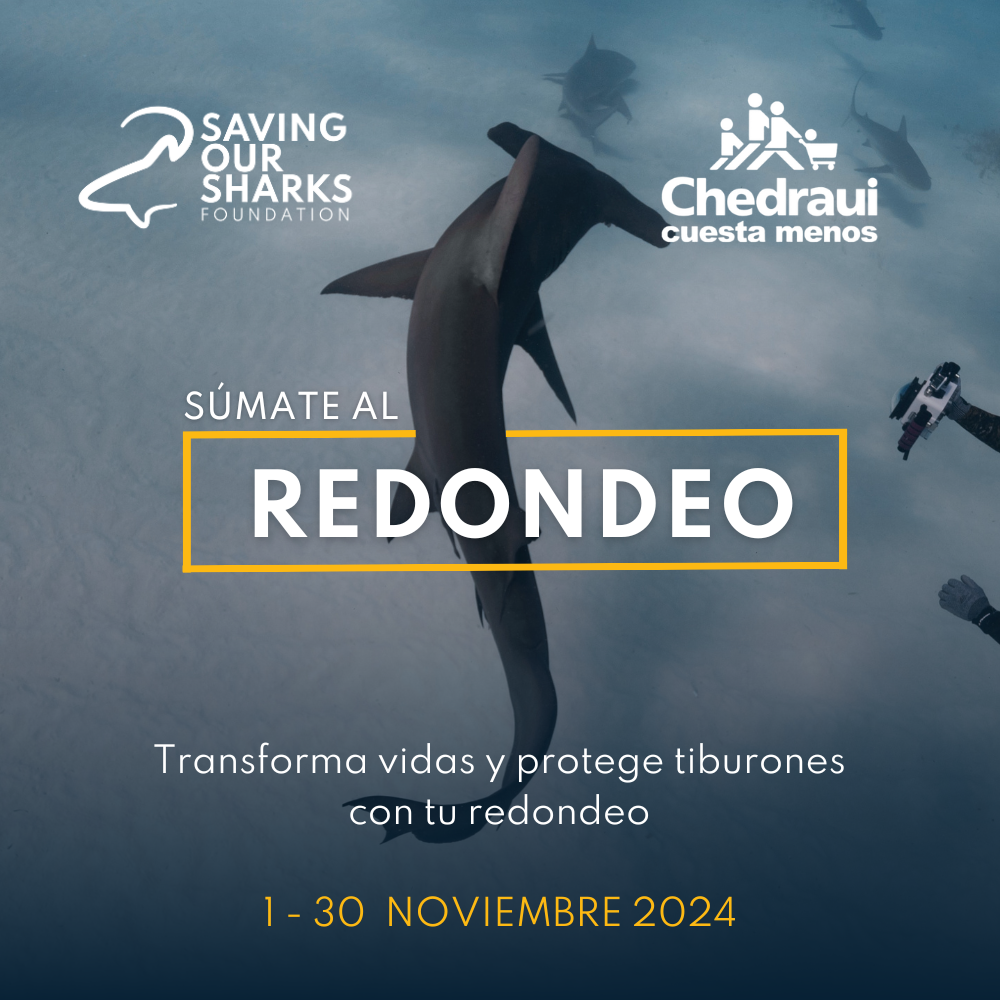 Campaña redondeo Chedraui por los tiburones