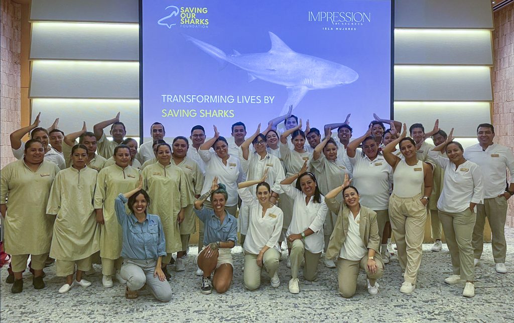 Impression Isla Mujeres - Saving our Sharks