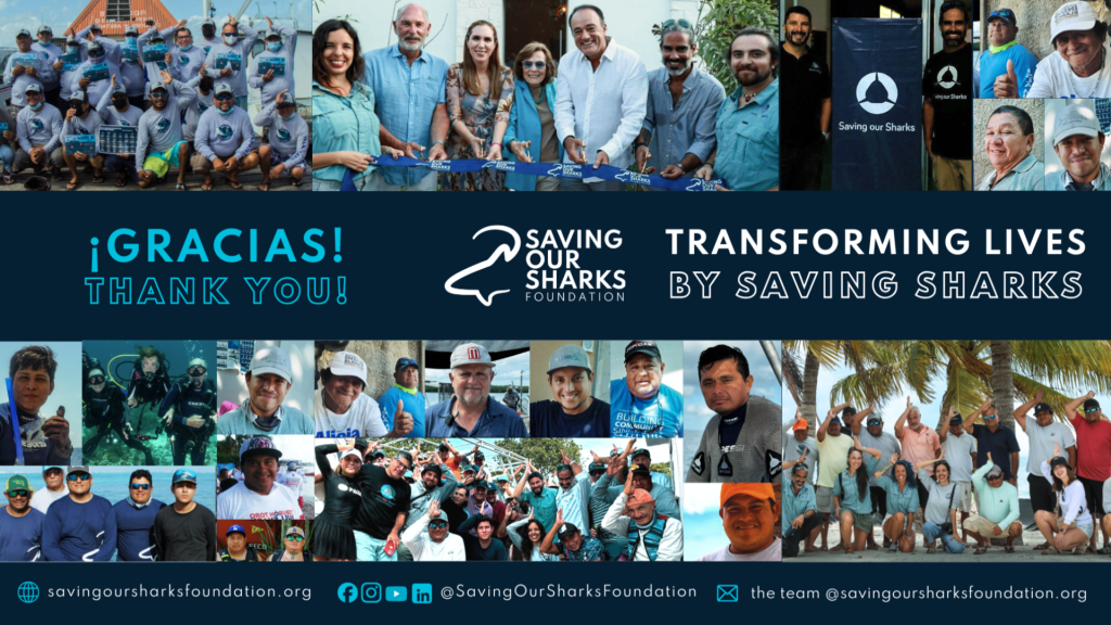 Saving our Sharks Foundation