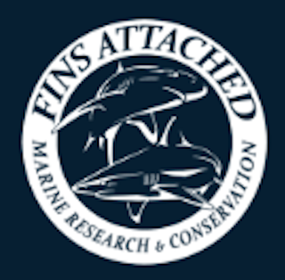 fins attaches